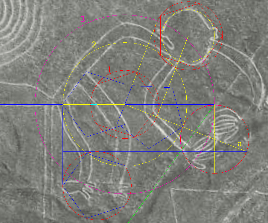 one
circle fits all